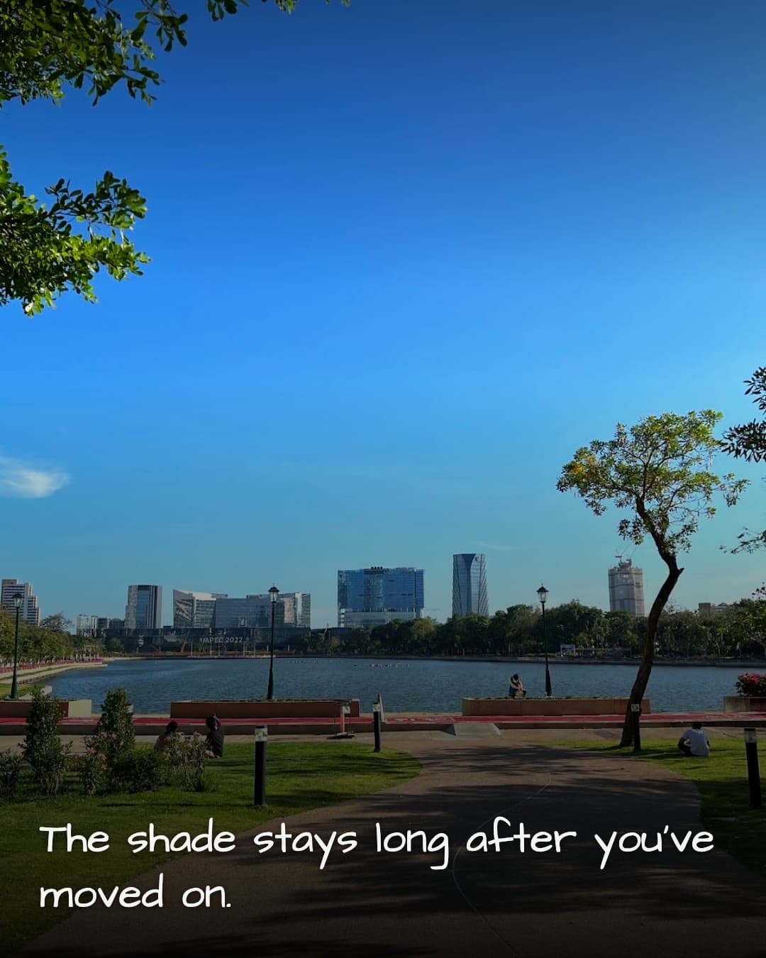 Benjakitti Park tree shade
