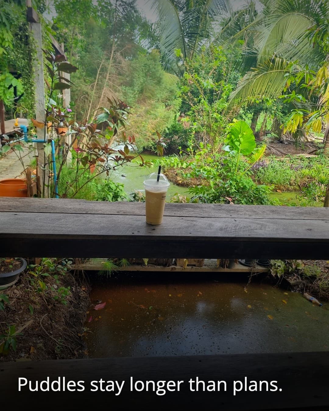 coconut bar wooden deck puddle