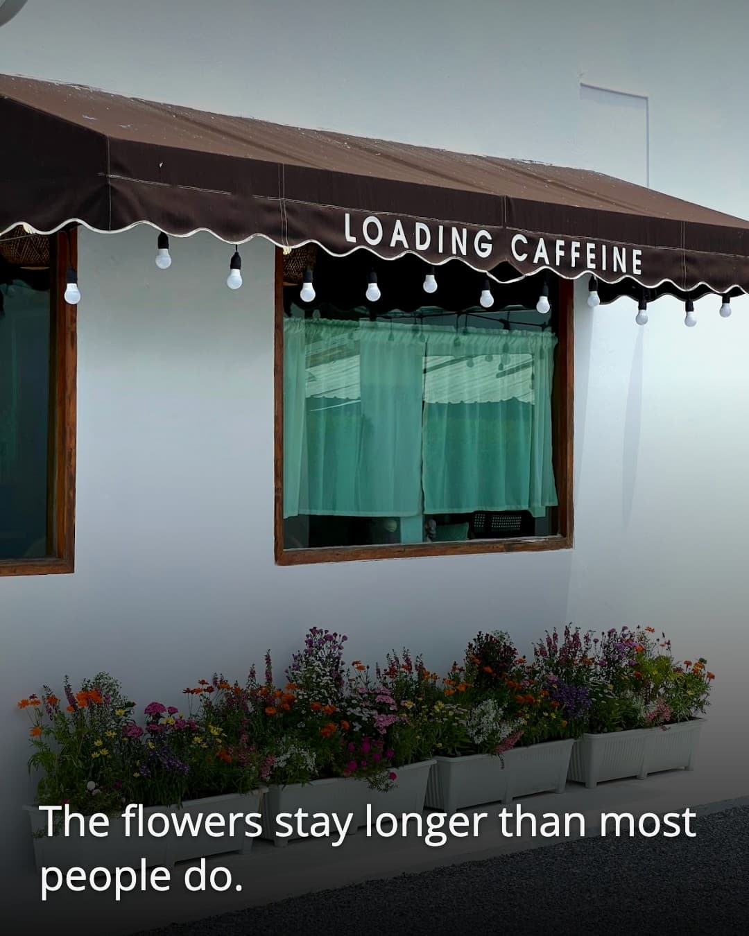 Loading Caffeine flower boxes