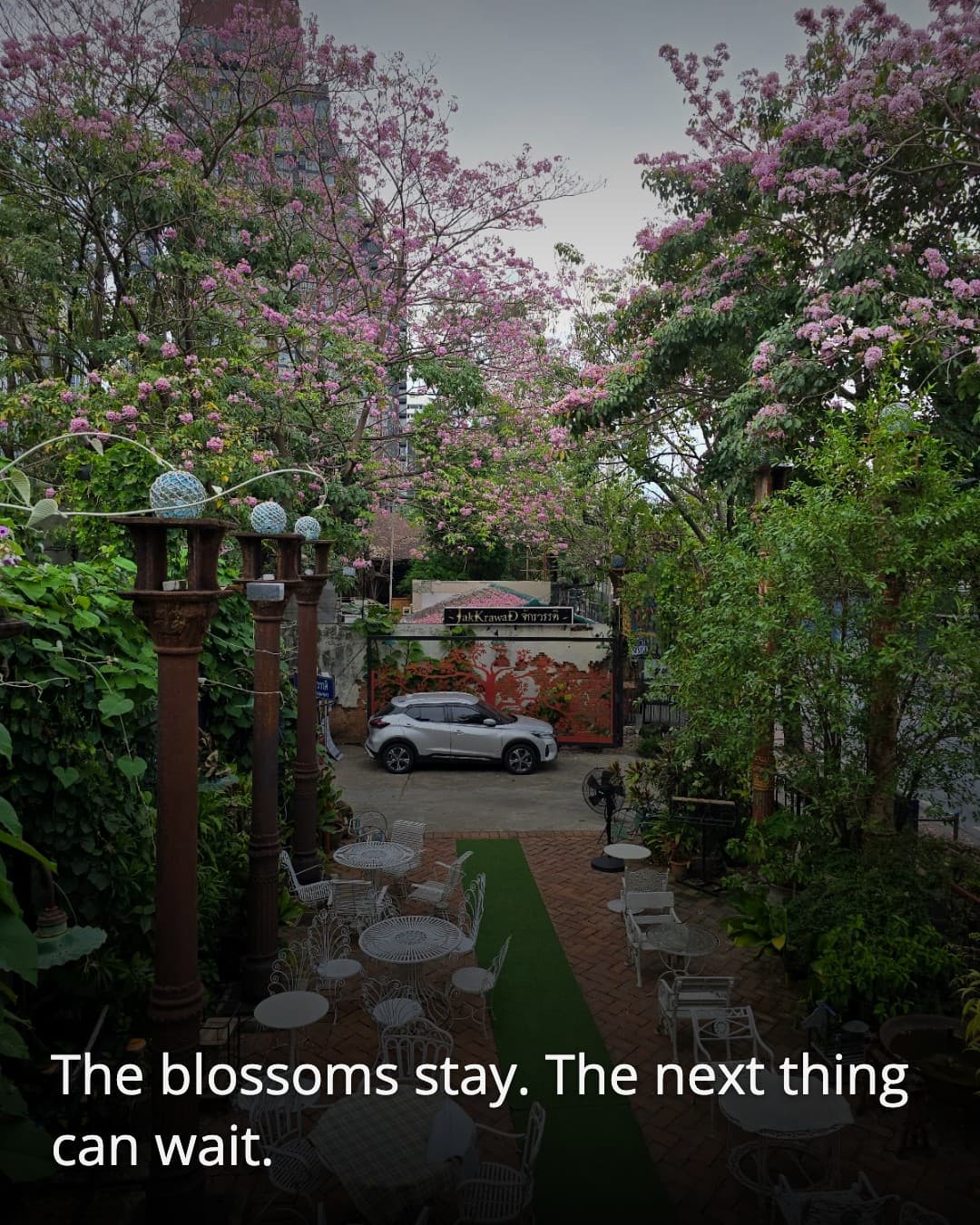 Jakkrawad Chill RestroBar courtyard blossoms