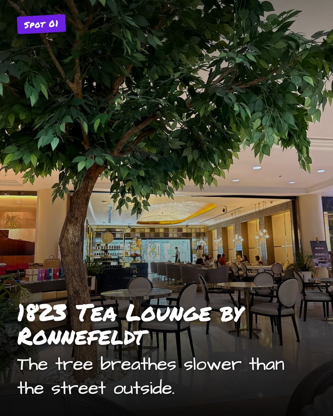 1823 Tea Lounge by Ronnefeldt interior